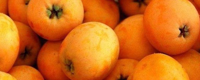 新鲜枇杷怎样保存 存放枇杷的妙招
