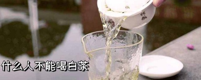 什么人不适合喝白茶 不适合喝白茶的人介绍