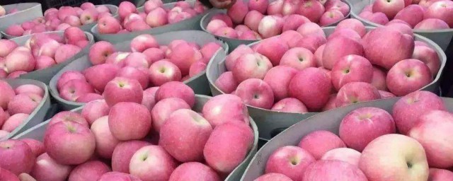大量苹果储存办法 怎么储存大量苹果