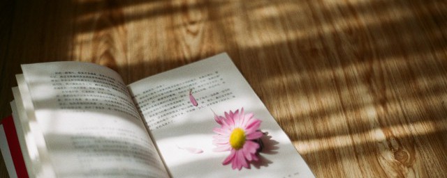 鸭同鸡讲的意思 鸭同鸡讲造句