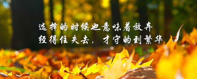 简短阳光励志个性签名 个性签名阳光励志