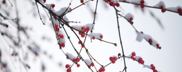 瑞雪兆丰年意思 瑞雪兆丰年的解释