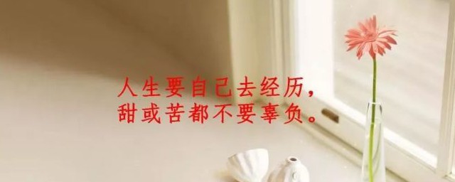 人生感悟经典哲理 人生感悟的经典哲理句子