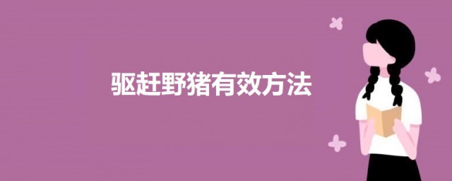 驱赶野猪有效技巧 怎样有效的驱赶野猪