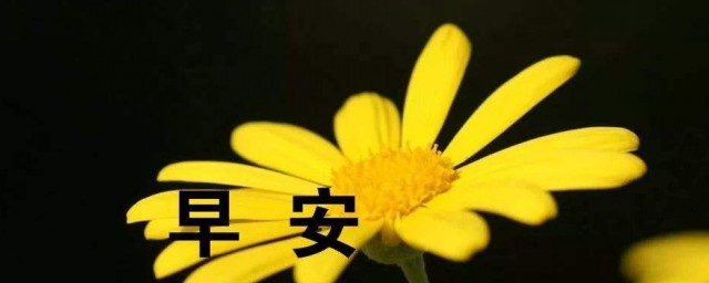 早安励志语一句话 早安励志语一句话有哪些