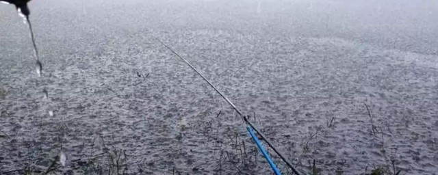 下雨天适合钓鱼吗 下雨了到底适不适合去钓鱼