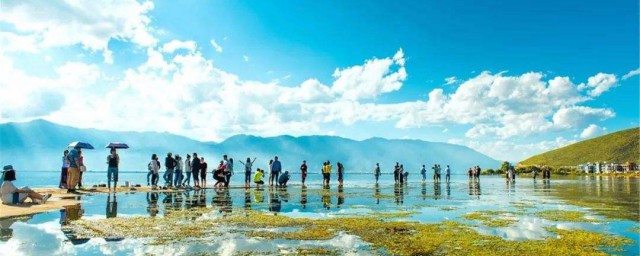 去大理旅游的心情短语 去大理旅游的心情短语说说