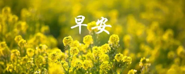 早安正能量语录短语 早安心语励志句子