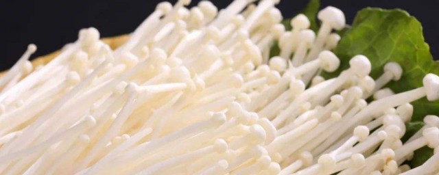 金针菇多久熟 金针菇简介