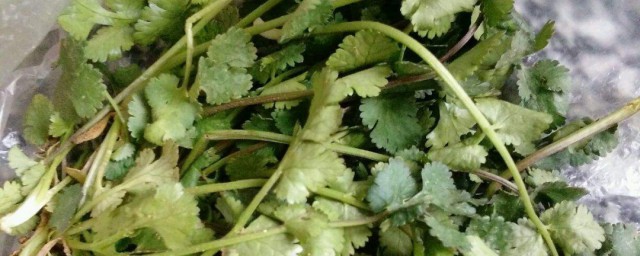 脱水香菜怎样做 这样做的脱水香菜最保持原味