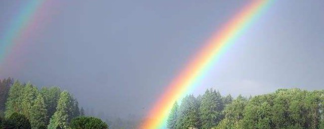 不经历风雨怎能见彩虹作文 关于不经历风雨怎能见彩虹作文如何写