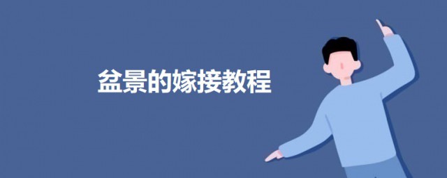 盆景的嫁接教程 盆景的三种嫁接技巧