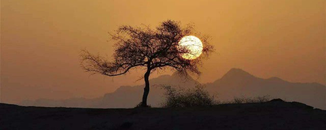 夕阳落日的唯美语句 描写夕阳落日的优美句子