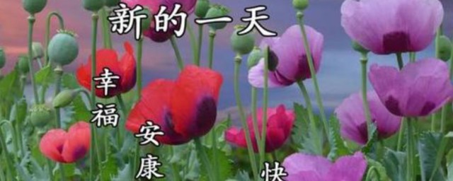 周一早安暖心问候语 周一早安问候语有哪些