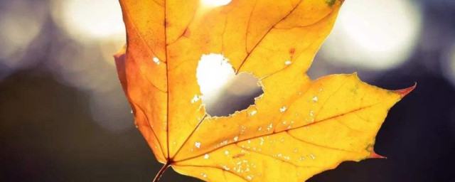 发给客户的暖心问候语 客户暖心早安问候语
