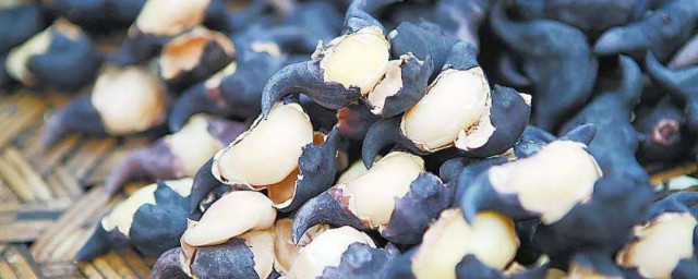 菱角怎样保存技巧 菱角怎样存放