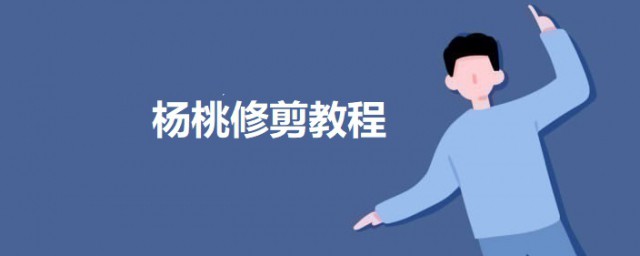 杨桃修剪教程 杨桃修剪的技巧简介