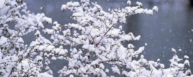 粉妆玉砌是什么季节 粉妆玉砌形容的是哪个季节