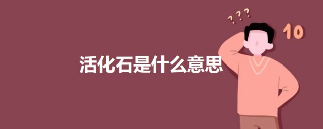 活化石是什么意思 活化石的意思解析