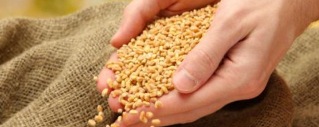 珍惜粮食创意文案 珍惜粮食的句子有哪些