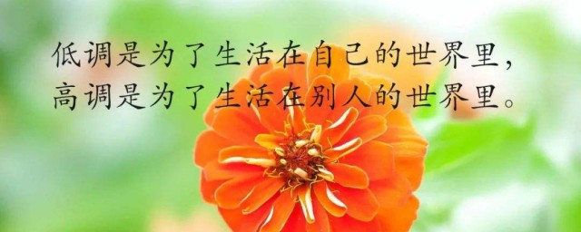 心灵鸡汤简短好句子 简短一句话心灵鸡汤