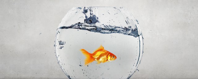 简单生活说说感悟生活 有什么感悟生活的说说
