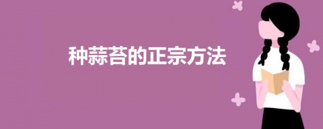 种蒜苔的正宗方式 种蒜苔的要领介绍
