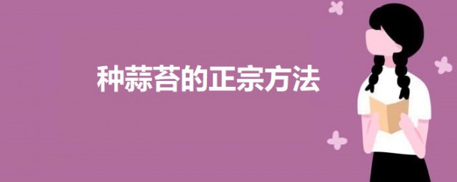 种蒜苔的正宗技巧 种蒜苔的技巧简介