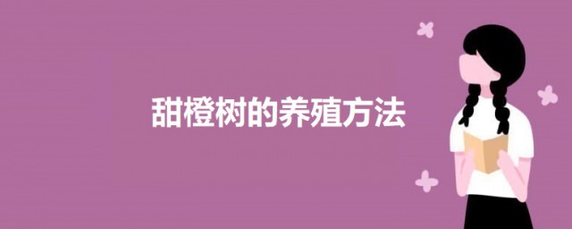 甜橙树的养殖要领 甜橙树怎么养