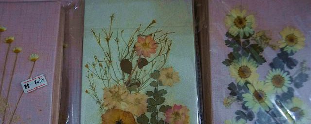 怎么做永生花标本 做标本的要领