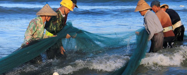 捞海鱼要领 捞海鱼办法是什么