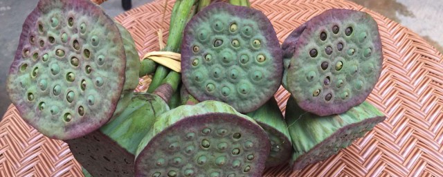 新鲜的莲蓬怎样保存 新鲜的莲蓬保存技巧