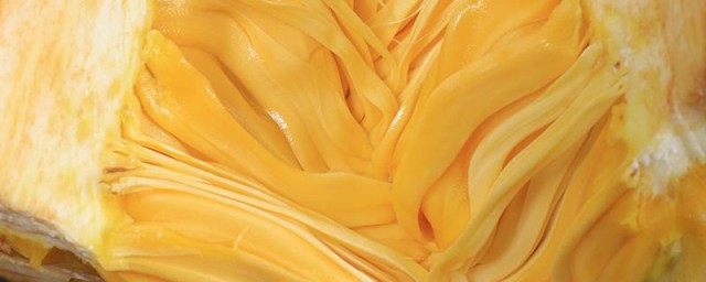 新鲜菠萝蜜肉怎样保存 菠萝蜜的肉怎样存储