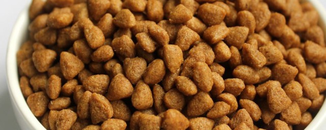 自制猫饭怎样保存 自制猫饭保存技巧