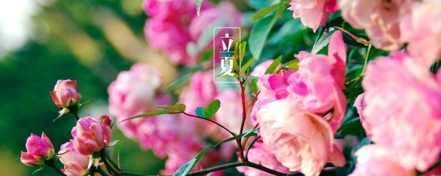 讲夏天的短句子 描写夏天的句子短的句子