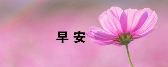 早上起来发朋友圈的句子 早上起来发朋友圈的句子集锦