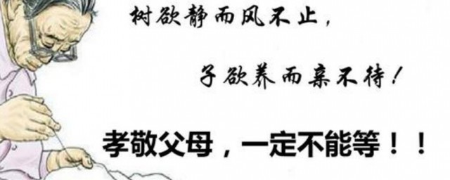 子欲养而亲不待的意思 子欲养而亲不待原文欣赏