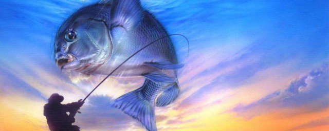 深秋海竿鲢鳙技巧 深秋季节钓鲢鳙鱼的技巧