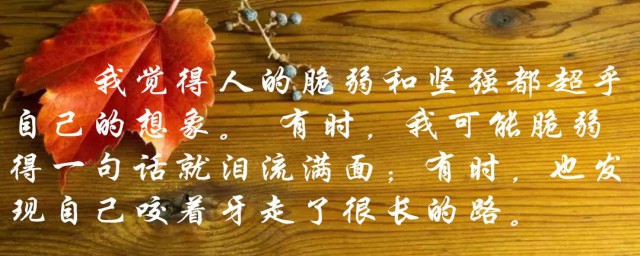 形容坚定的句子 形容坚定的句子分享