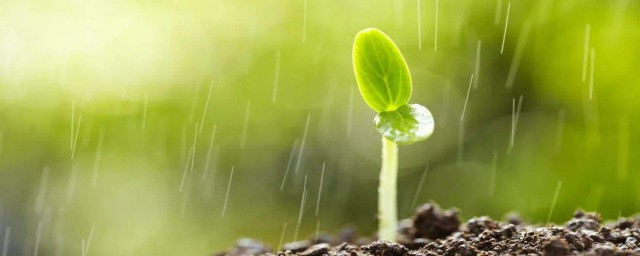 英文雨天说说心情短语 英文雨天说说心情短语 有哪些