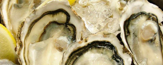 生牡蛎如何保存 保存生牡蛎方式