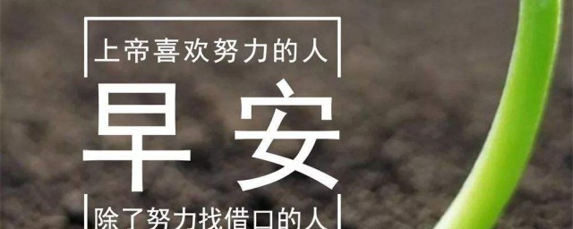 阳光适合发朋友圈的句子 阳光适合发朋友圈的句子分享