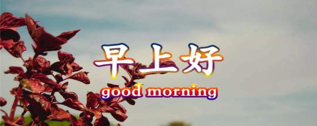 早上好心情朋友圈说说 早上好心情朋友圈说说分享