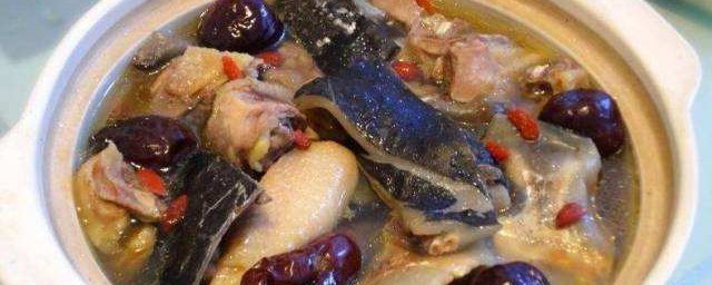 甲鱼煮鸡怎样做 甲鱼炖鸡烫的做法