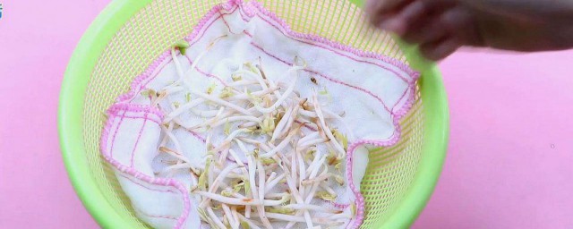 豆芽水培技巧 这样培养的豆芽最好