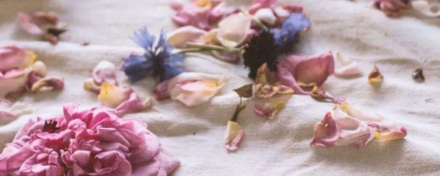 脱水干花怎样做 具体制作的次序有什么