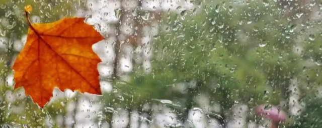描写秋雨凉爽的句子 描写秋雨凉爽的句子举例