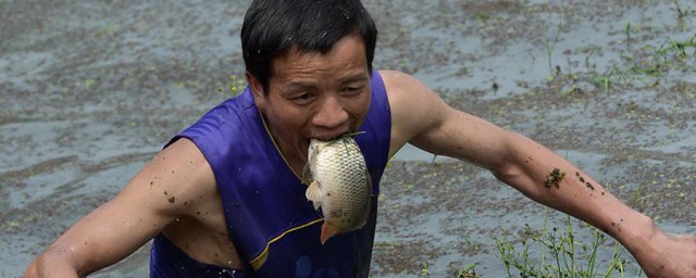 传统抓鱼技巧 可以怎样进行抓鱼