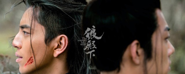 狼殿下肖战是什么样的人 狼殿下简介