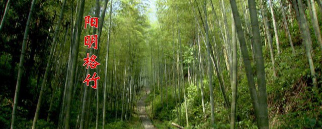 守仁格竹的典故有什么道理 王守仁人物简介
